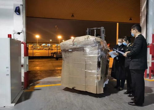 重慶海關高效護航 48960個海淘口罩零延時快速清關